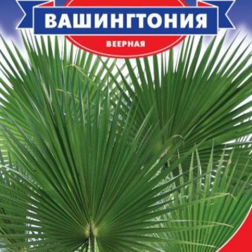 Пальма Вашингтония