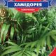 Пальма Хамедорея