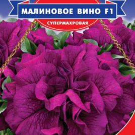 Петуния Малиновое вино 