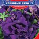 Петуния Сливовый джем
