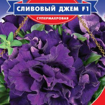 Петуния Сливовый джем