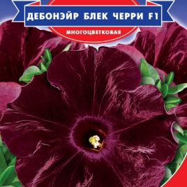Петуния Бархатная роза F1