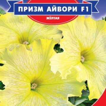 Призм Айворі F1 насіння петунії (GL Seeds)