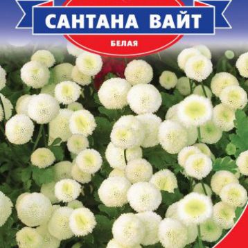 Сантана Вайт семена матрикарии (GL Seeds)