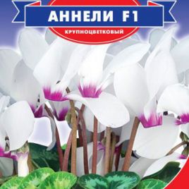 Цикламен Аннели F1 белый (white)