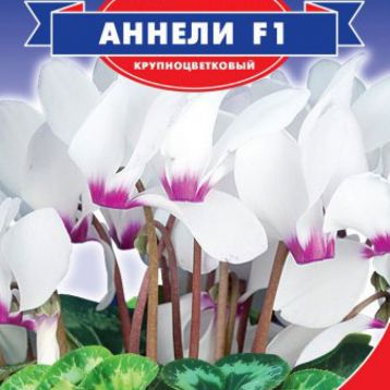Аннелі F1 білий (white) насіння цикламена (GL Seeds)