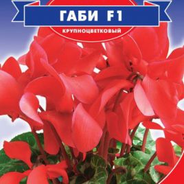 Цикламен Габи F1