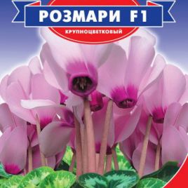 Цикламен Розмари F1