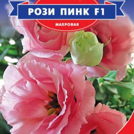 Эустома Рози Пинк F1
