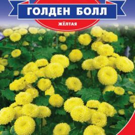 Голден Болл насіння матрикарії (GL Seeds)