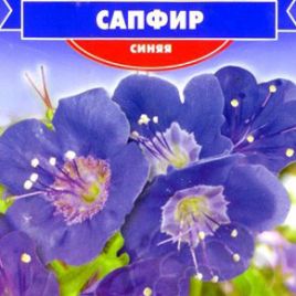 Фацелия Сапфир