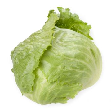 Салат Силвинас