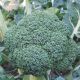 Маори F1 (Maori F1) семена капусты брокколи среднепоздней 85 дн. 500-700 гр. (Cora Seeds)