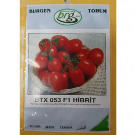 Томат БТХ 053 F1 (BTХ 053 F1) 
