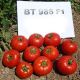 Томат ВТ 986 F1 червоний