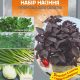 Набор семян Пряности к салатам 