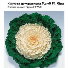 Капуста декоративная Голуб F1 белая