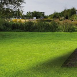 Газонная трава Элит Mow Saver 