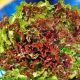 Салат Малинова куля