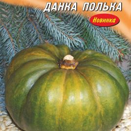 Гарбуз Данка Полька
