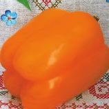 Перец сладкий Злато скифов 