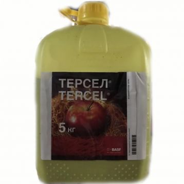 Терсел фунгицид водорастворимые гранулы (BASF)
