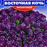 Алиссум Восточная ночь фиолетовый