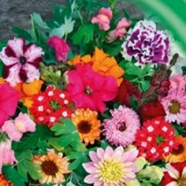 Балконная смесь