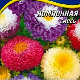 Астра Помпонная смесь
