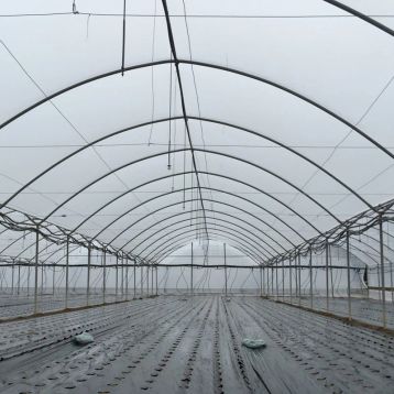 Пленка тепличная прозрачная ASTER 