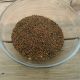 Микрозелень (микрогрин) рукколы 