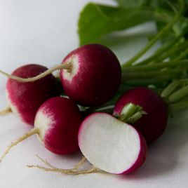 Редис Николь (7,4 стандарт) 