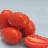 Томат Кінг F1