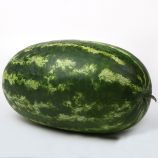 Кавун ЛС 1807 F1 (LS 1807 F1)