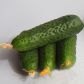 Огірок Міміно F1