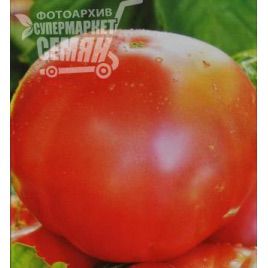 Дикая роза семена томата индет розового (Элитный ряд)