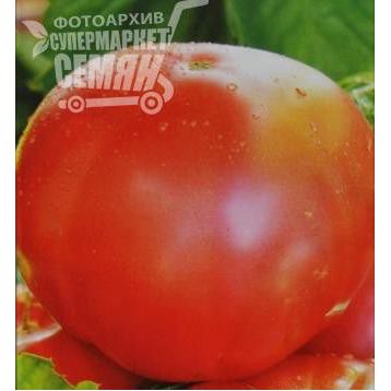 Дикая роза семена томата индет розового (Элитный ряд)