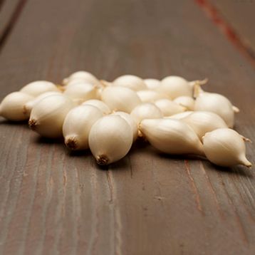 Лук-севок Сноуболл