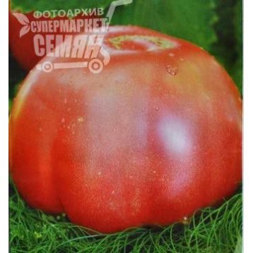 Микадо розовый семена томата индет розового (Элитный ряд)