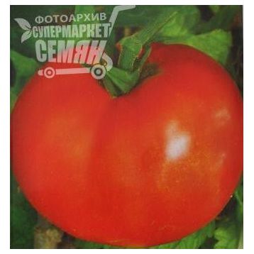 Волгоградский 5/95 семена томата дет (Элитный ряд)