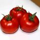 Томат ТОМ 02044 F1