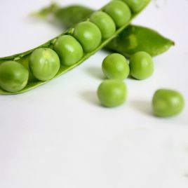 Горох овощной Сабрина