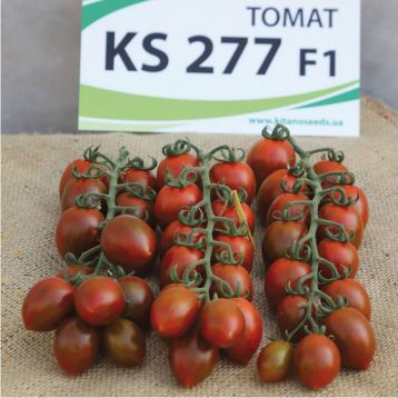 Семена томата КС 277 F1 Kitano — купить | Супермаркет Семян