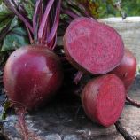 Свекла столовая Маноло F1