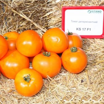 Насіння томату Нуксі F1 купити від Kitano Seeds | Супермаркет Насіння