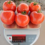 Томат Арнольд (INX 1577 F1)