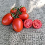 Томат PL 6215 F1