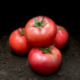 Томат Пинк Нагетс F1