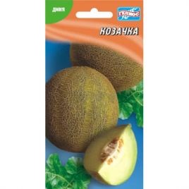 Дыня Казачка