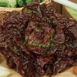 Салат Чотири сезони